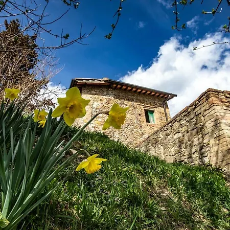 Campora House Latina